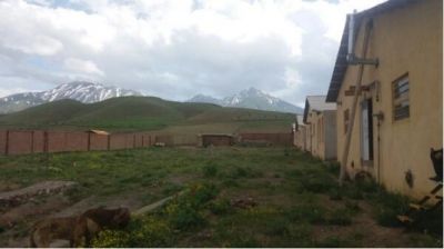 مرغداری گوشتی نزدیک تبریز