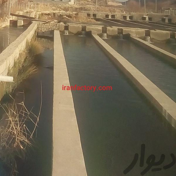 اجاره مزرعه پرورش ماهی ۷۰ تنی در یاسوج