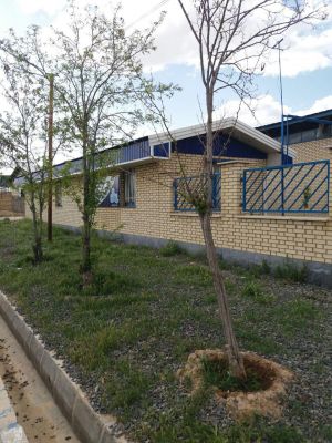 کارخانه دستمال کاغذی در اراک