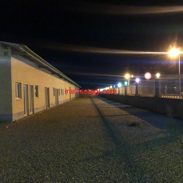 فروش شراکت کارخانه بسته بندی خرما میوه جات