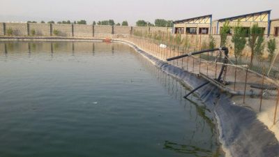 فروش دامداري صنعتي (گوسفند)_خرید دامداری_فروش دامداری نزدیک به تهران