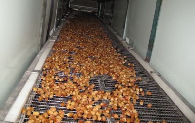 فروش ماشین آلات خرما شکلاتی