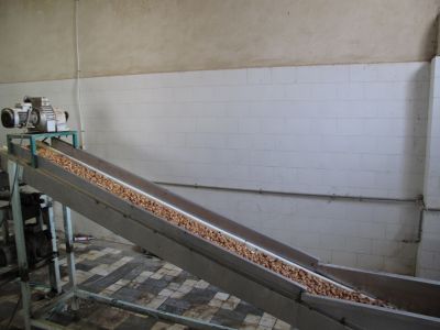 خرید خط تولید خرما شکلاتی