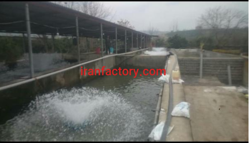 فروش 3300 متر مجموعه پرورش ماهی در قائمشهر