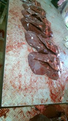 فروش جگر گاوی 