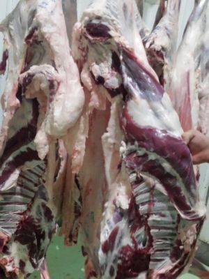 فروشنده راسته گوسفند ارگانیک