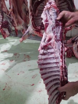 فروشنده راسته گوسفند ارگانیک به صورت عمده به تمام نقاط ایران 