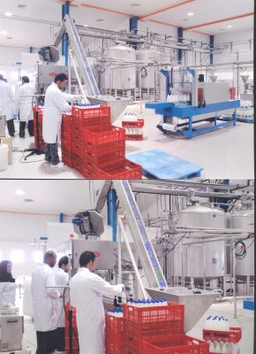 فروش کارخانه لبنیات در کرمان 