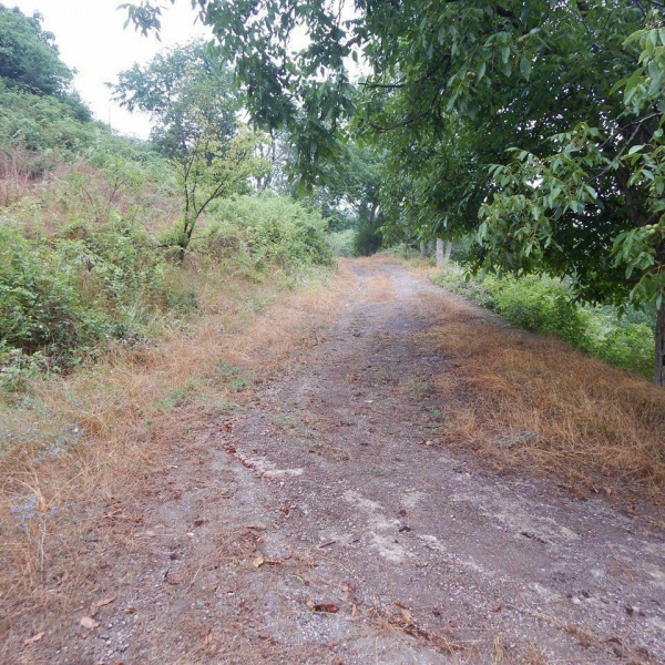 فروش زمین و چشمه آب معدنی