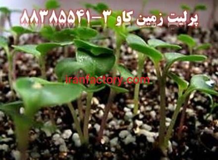 تبلیغ مصرف پرلیت در کشاورزی