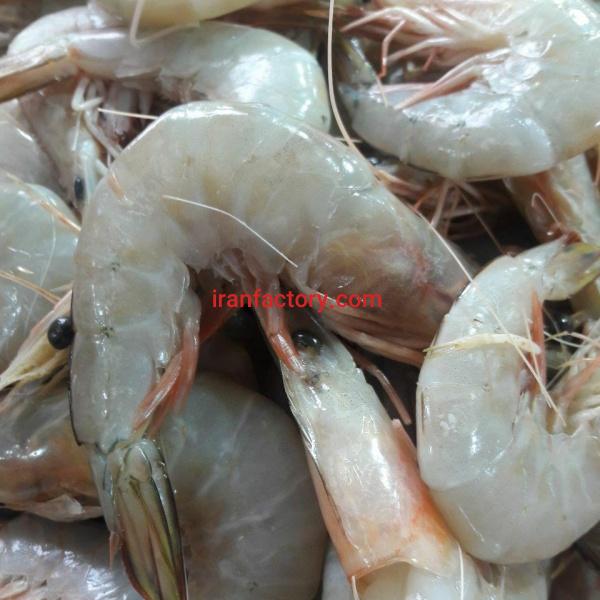 ابزیان صید روز جنوب