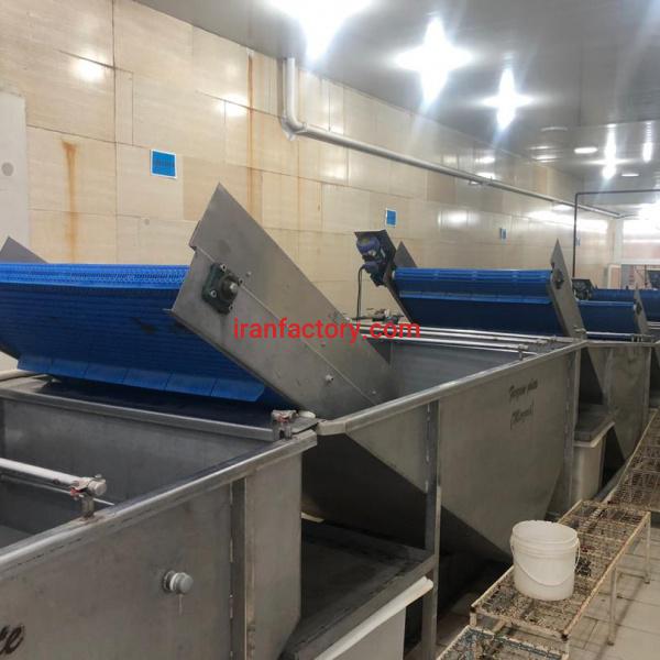 خط  تولید شستشوی میوه و سبزیجات