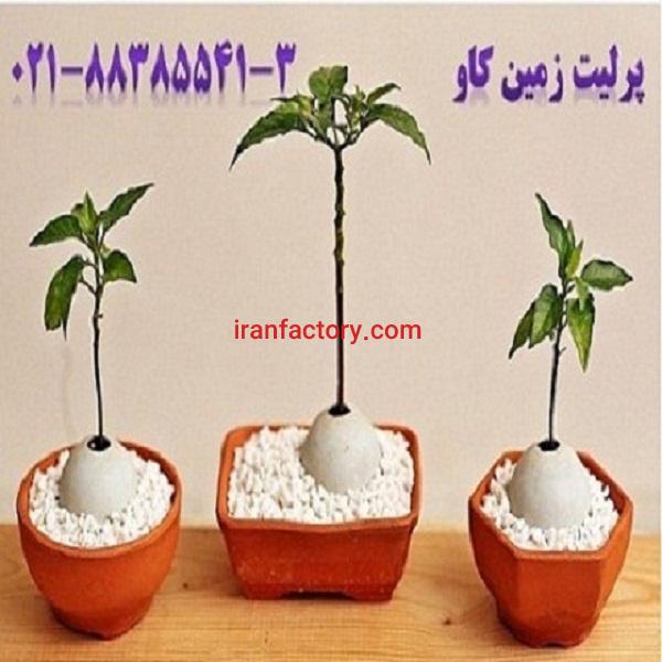 مزیت های استفاده از پرلیت در کشاورزی Perlite