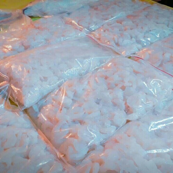 پخش عمده میگو