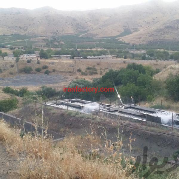 فروش پرورش ماهی در کرمانشاه
