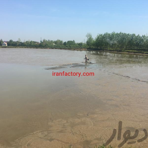 فروش استخر پرورش ماهى گرم آیى در رشت