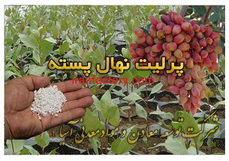 کود معدنی مناسب برای پرورش نهال پسته