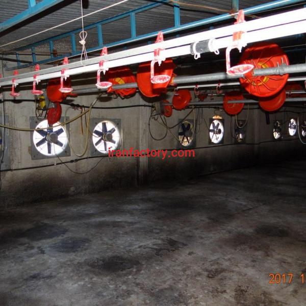 فروش مرغداری محصور شده در گرمسار