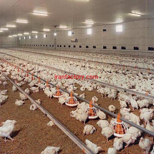 فروش مرغداری 50 هزار قطعه ای گوشتی در ارومیه