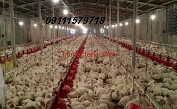 فروش مرغداری ساری