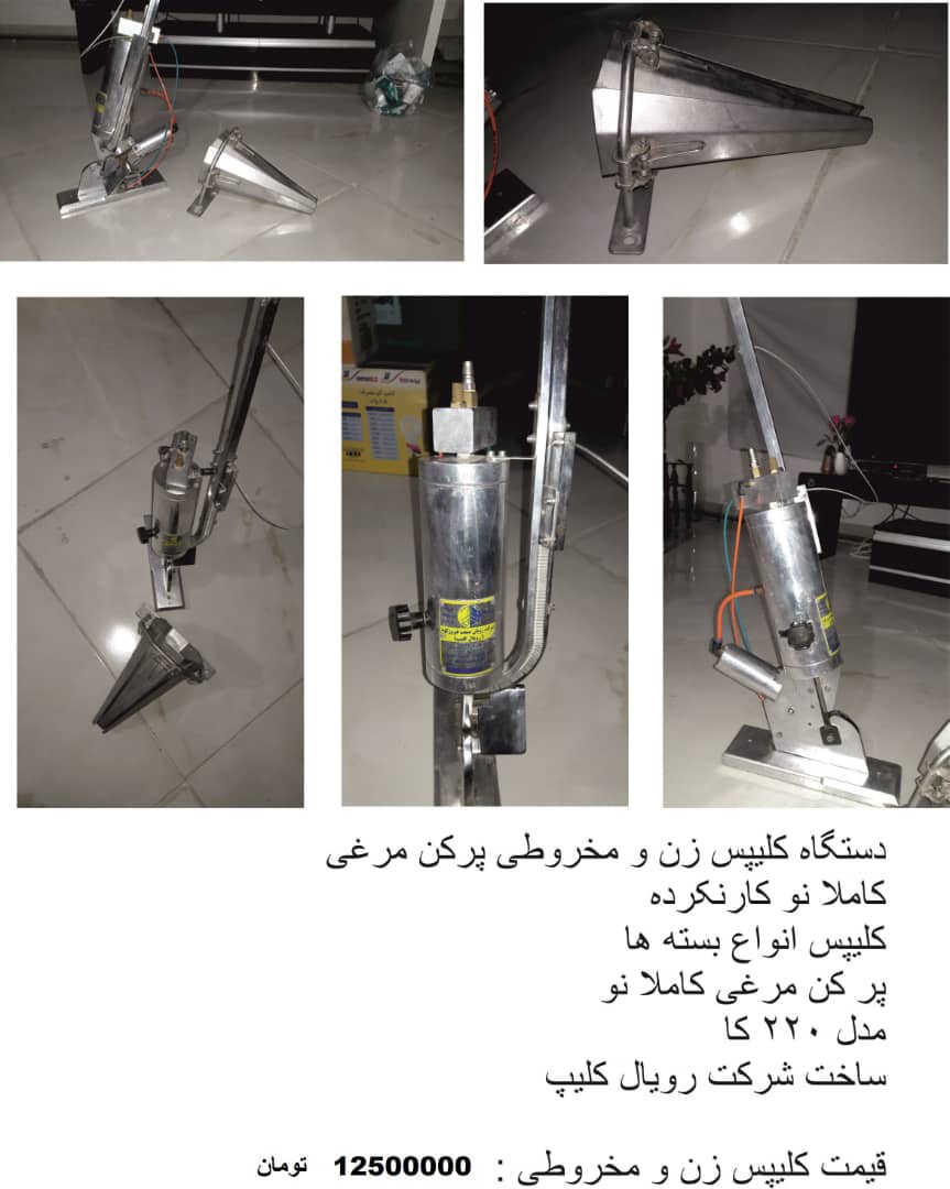 پر کن و کلیپس زن مرغ