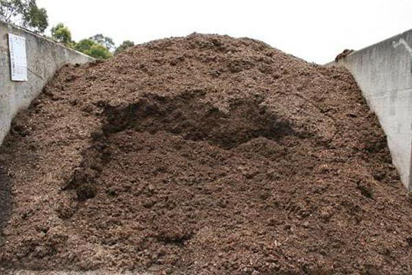 کود بلدرچین مرغوب