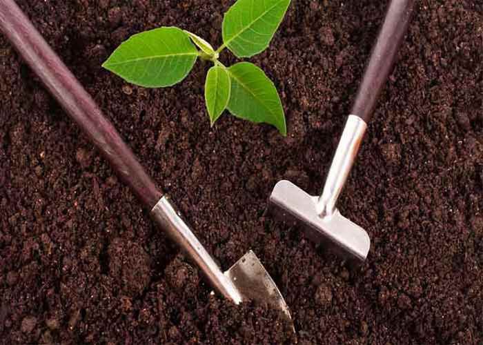 خاک باغبانی باکیفیت