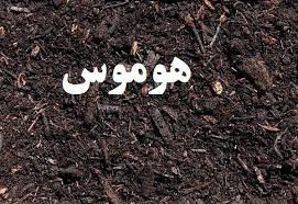 کود هوموس اصل و مرغوب
