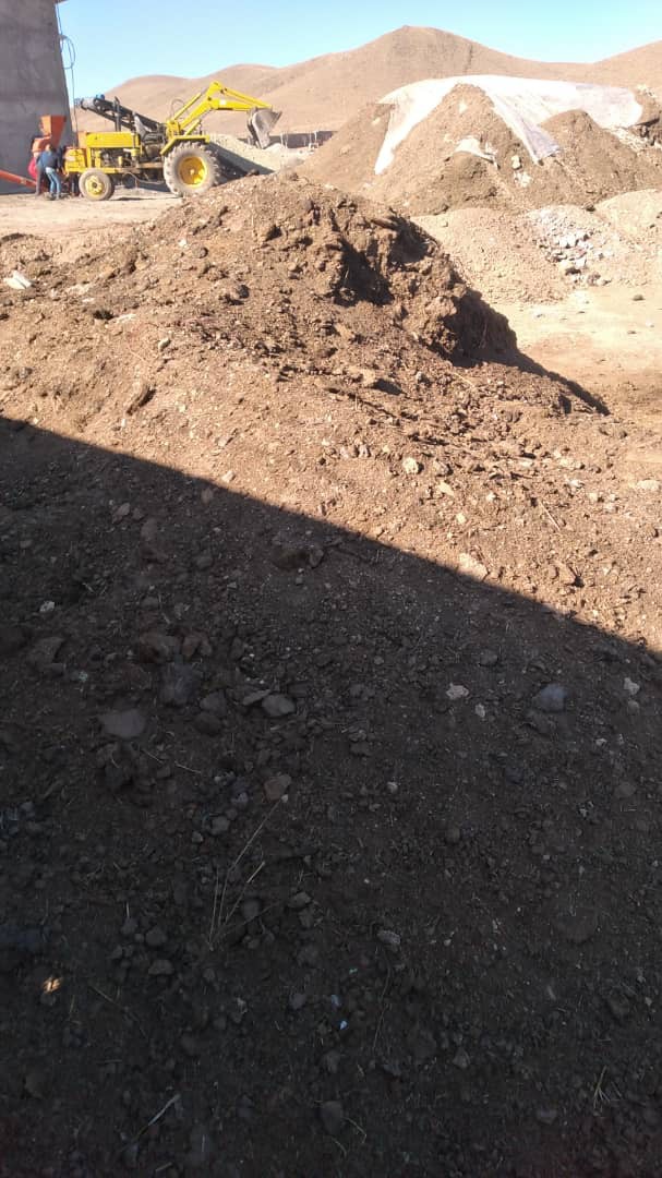 فروش کود گاوی خام