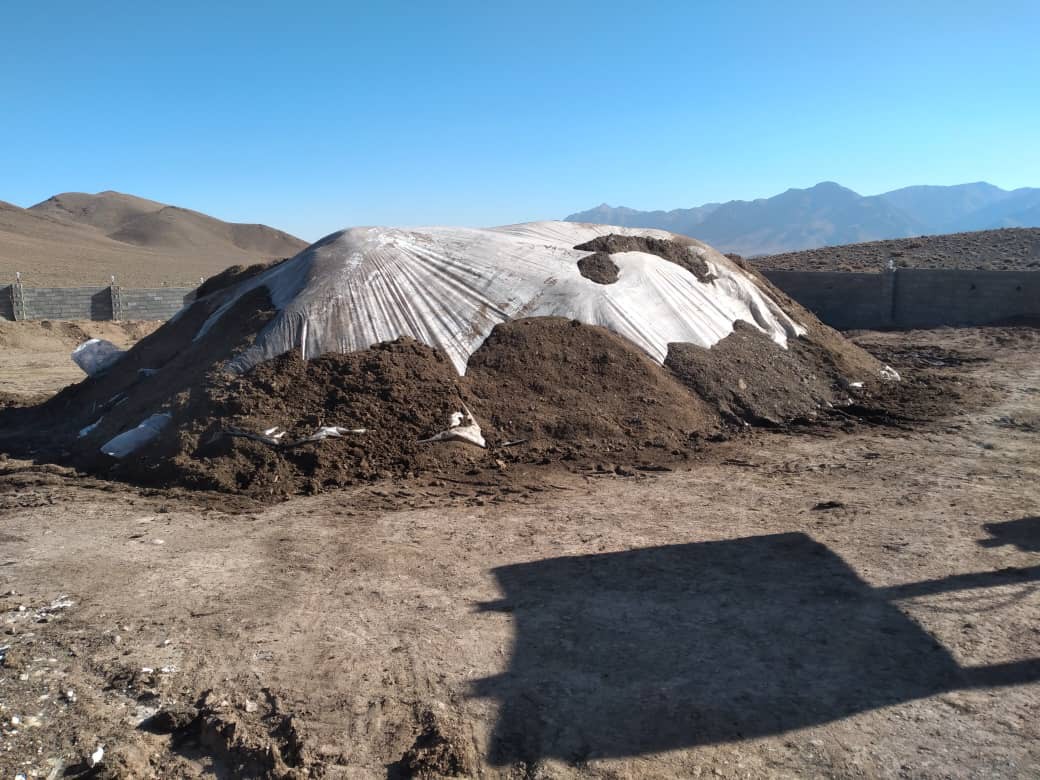 کود گاوی پوسیده غنی شده