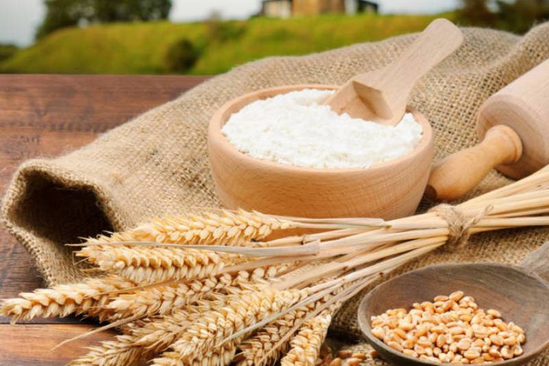 سرمایه گذاری در احداث کارخانه آرد در باکو آذربایجان