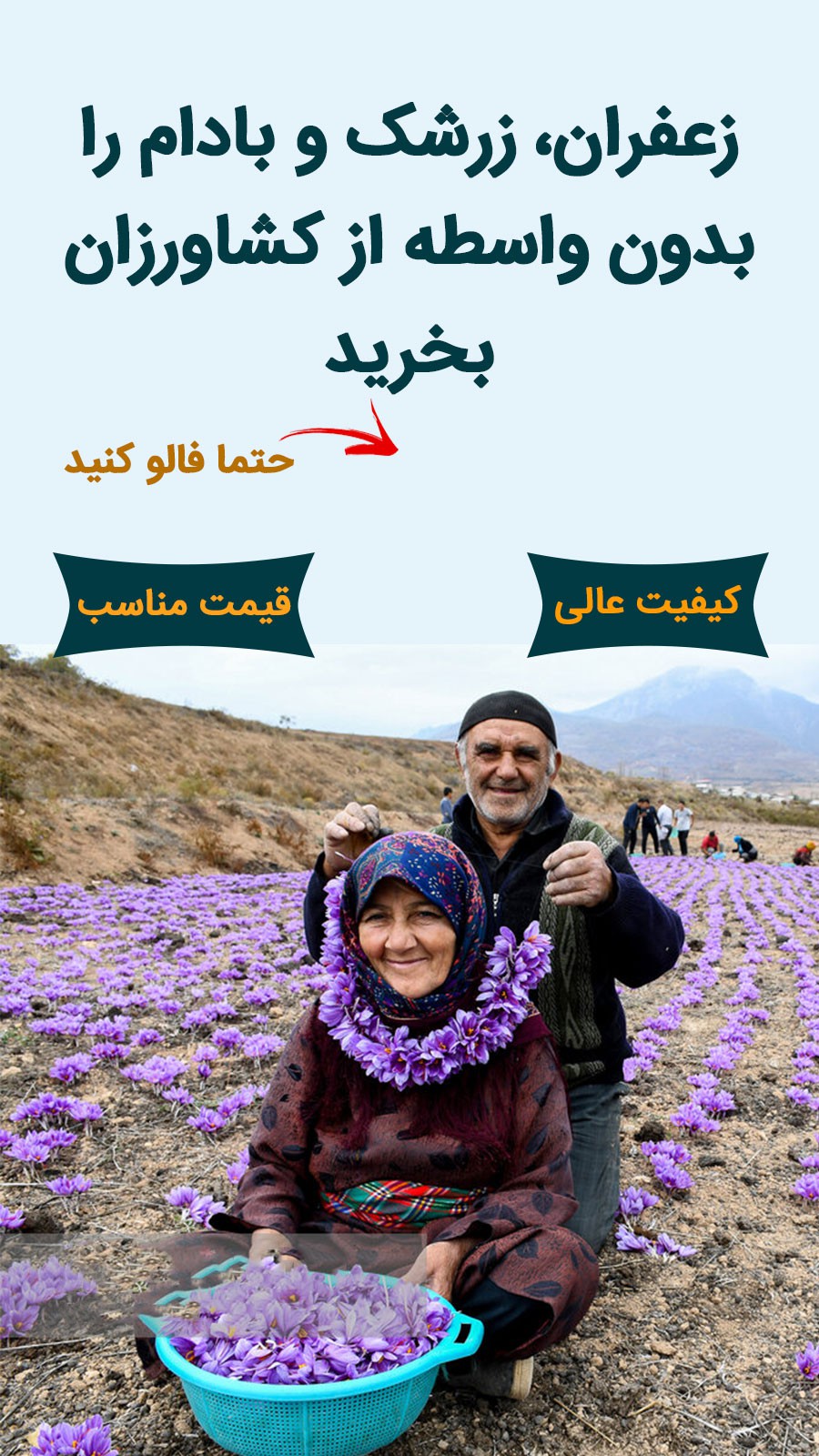 فروشگاه اینترنتی خشکبار