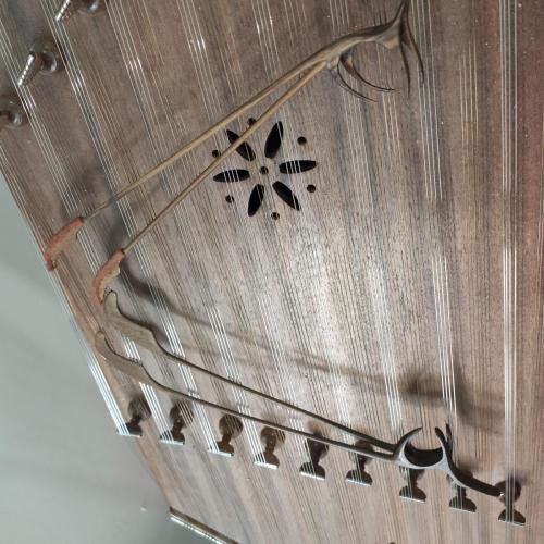 آموزش خصوصی سنتور در تهران