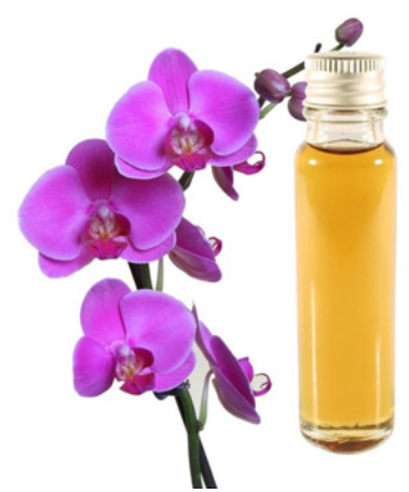 فروش اسانس ارکیده