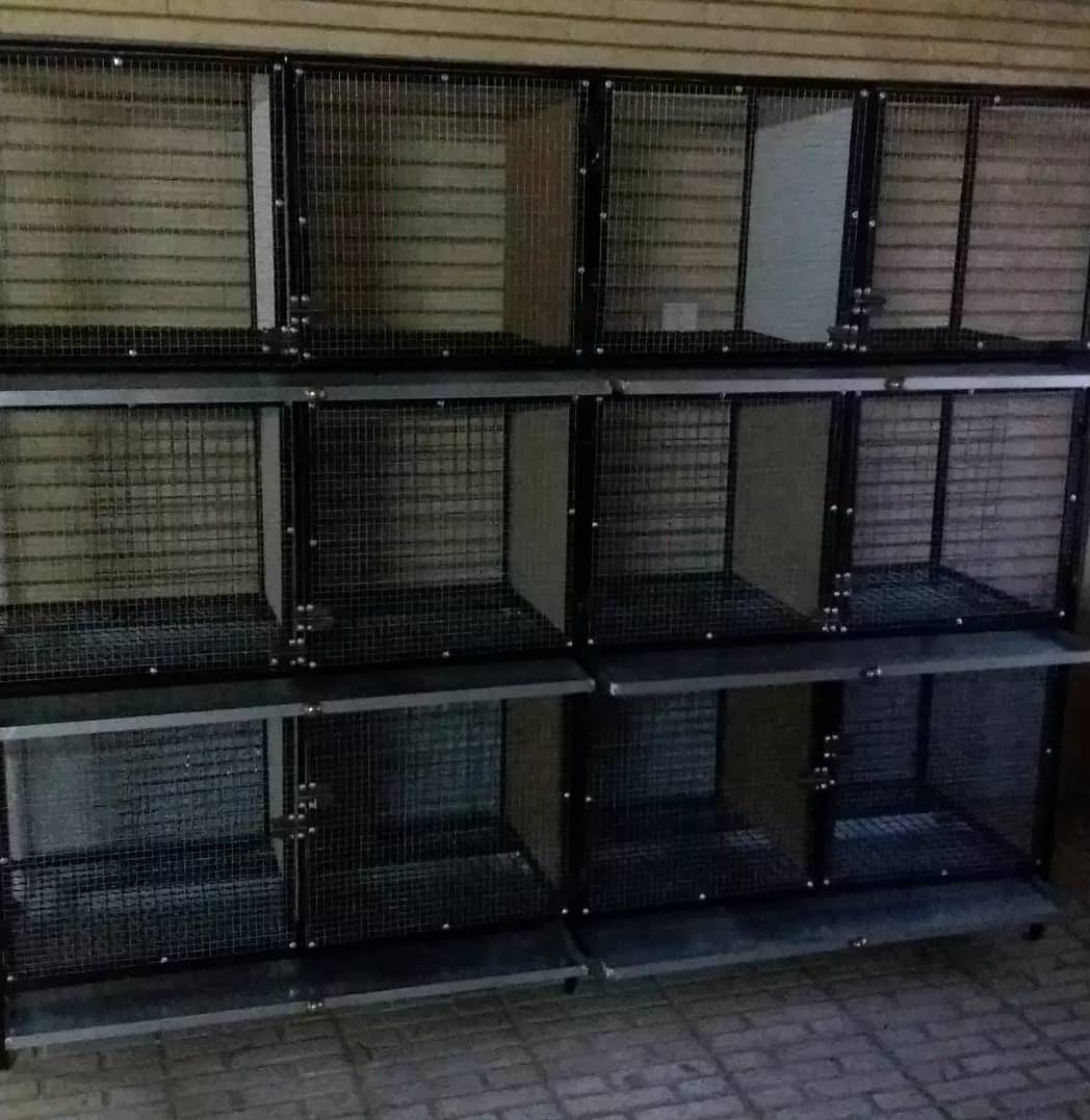 تولید قفس چوبی مدل چند طبقه در زنجان