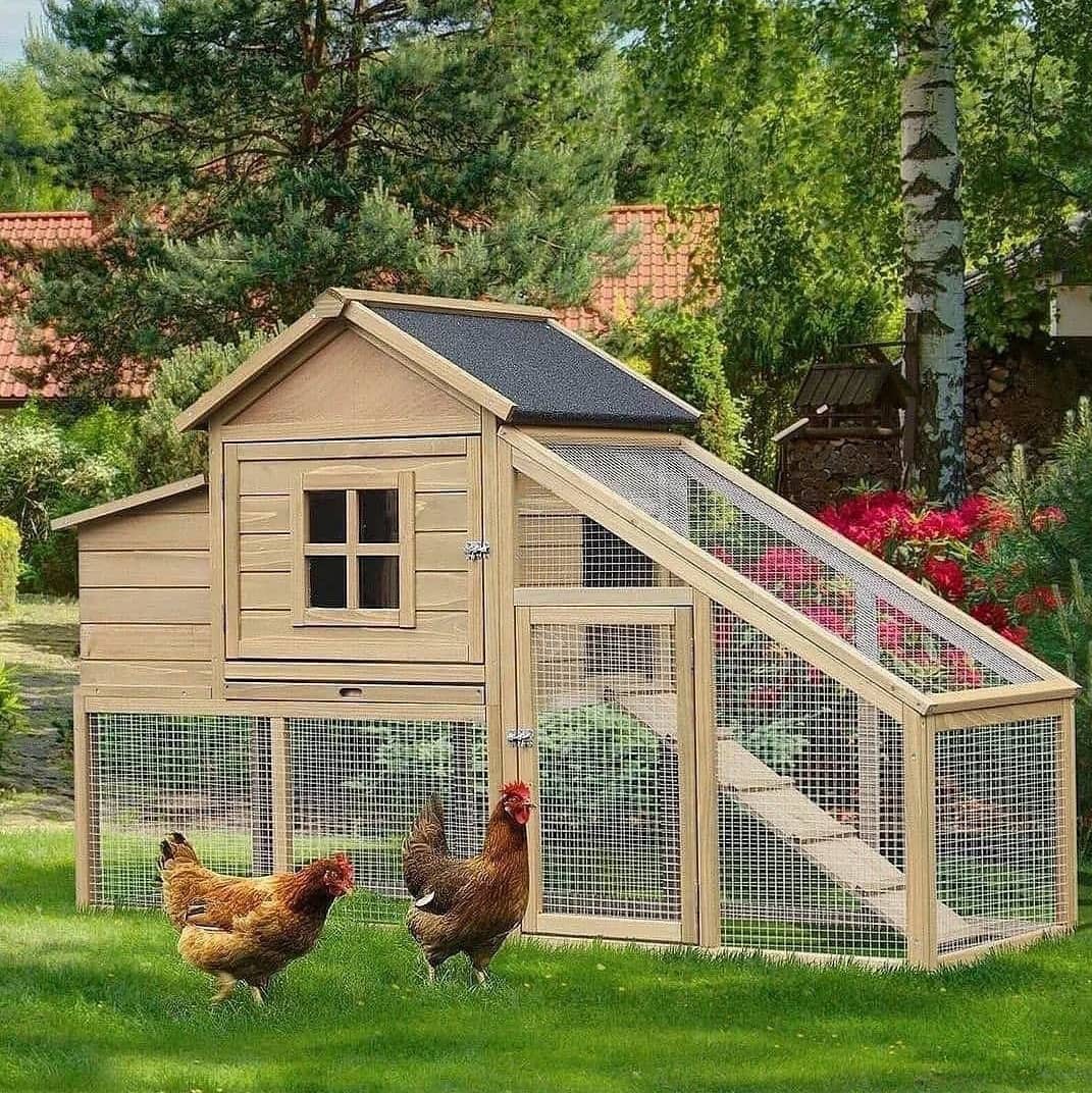 تولید قفس چوبی مدل شیروانی در زنجان