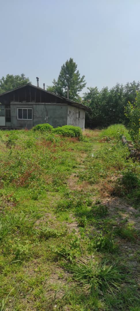 زمین ویلا سازی با سند تک برگ در رشت