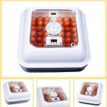 قیمت خرید دستگاه جوجه کشی