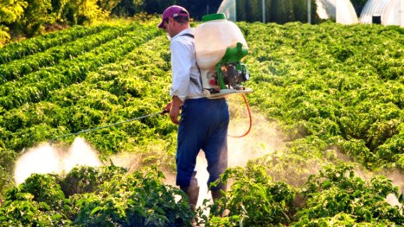 کود مایع آلی اصلاح کننده خاک و محرک صنایع کود مارال