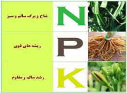 کود نیتروژن بالا NPK  صنایع کود مارال
