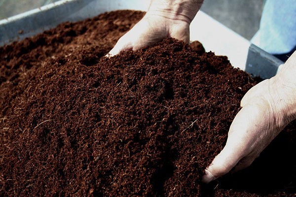 فروش خاک هلندی مرغوب 4 لیتری صنایع کود مارال