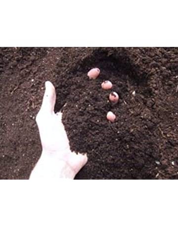 فروش مخلوط خاک و کود آماده کشت 4 لیتری صنایع کود مارال