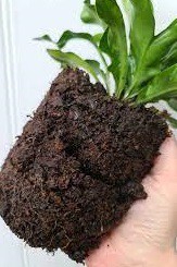 فروش الیاف گیاهی صنایع کود مارال