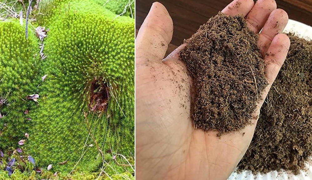 فروش پیت ماس 2 لیتری صنایع کود مارال