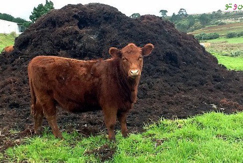 فروش کود گاوی 4 لیتری صنایع کود مارال