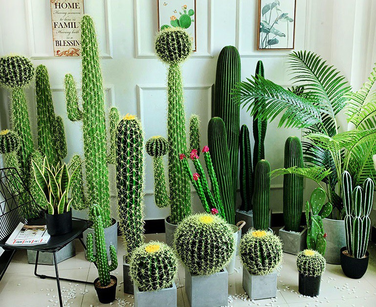 فروش کود 25 گرمی مخصوص کاکتوس صنایع کود مارال 