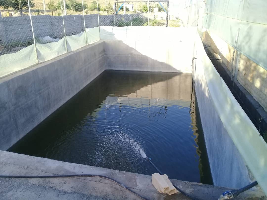 فروش گلخانه 3000 متری در خراسان شمالی