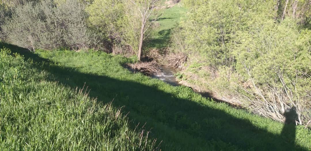 فروش زمین  ویلا سازی 1500 متری در نور