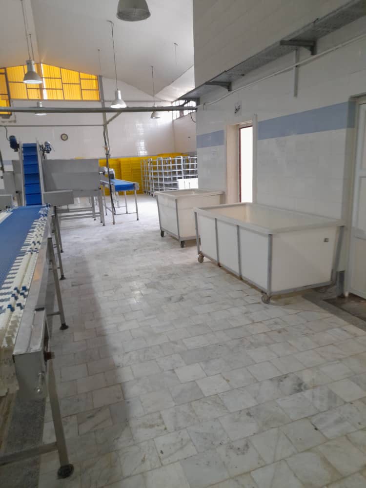 فروش کارخانه بسته بندی پای مرغ