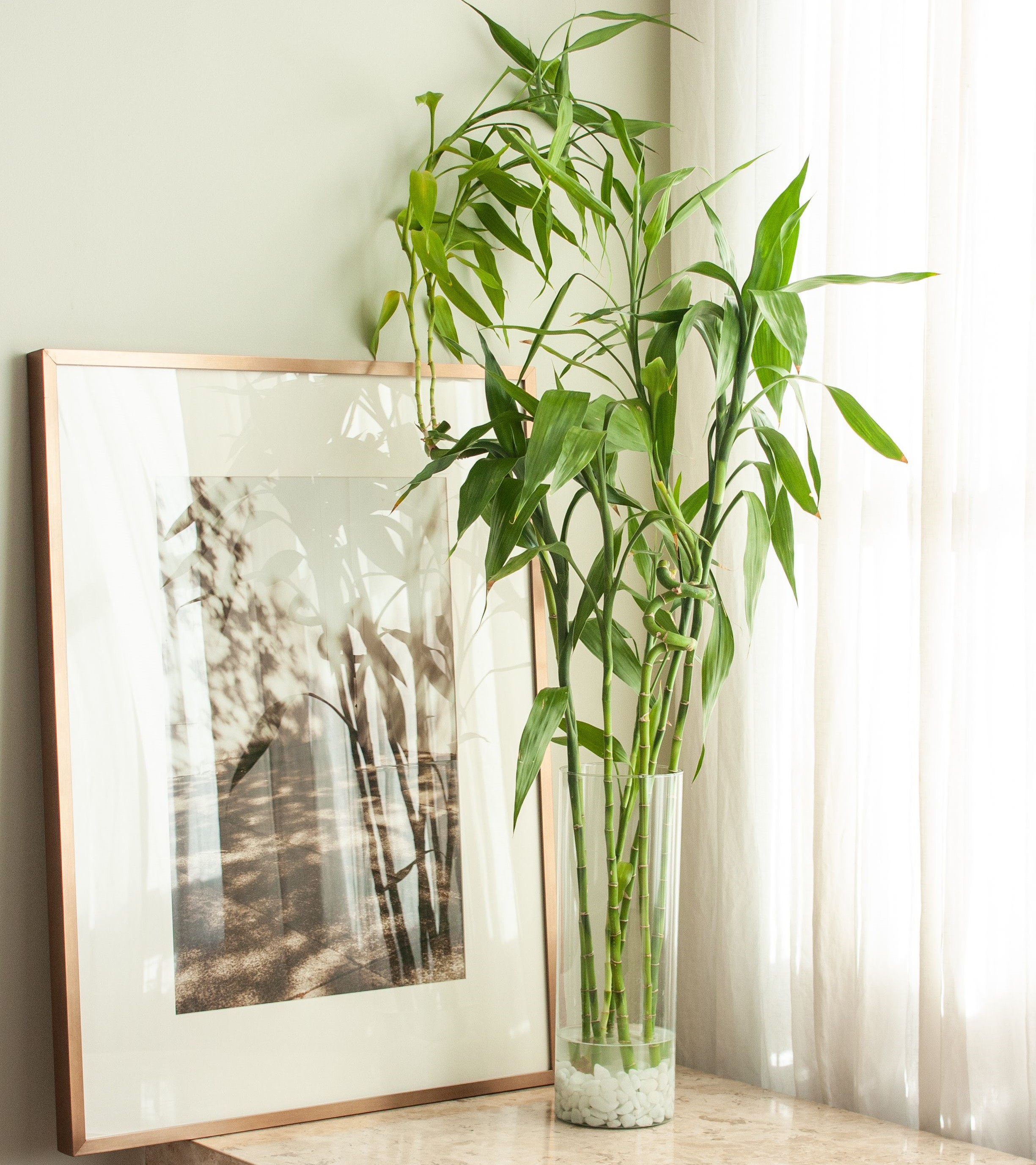 فروش قطره مغذی بامبو صنایع کود مارال